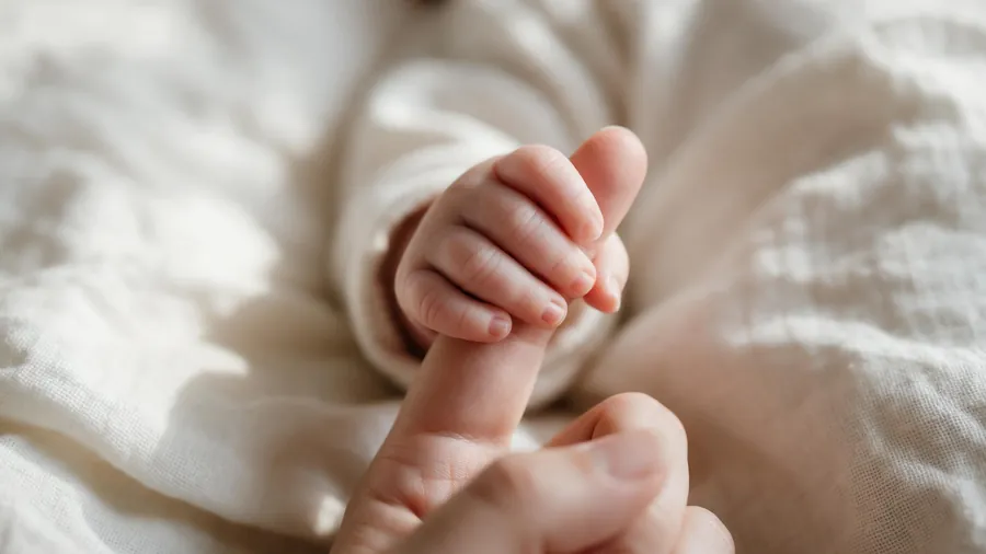 Prestación parental 2026: importe, variantes y solicitud